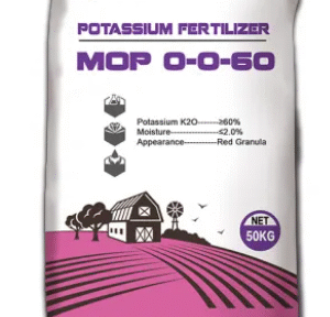 Muriate of Potassium granular 60% K2O