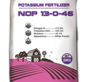 Nitrate of Potassium Powder
